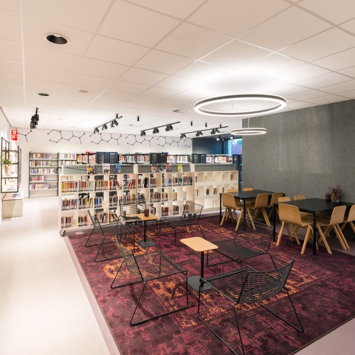 sport--en-cultuurhuis-dukdalf-brielle-image